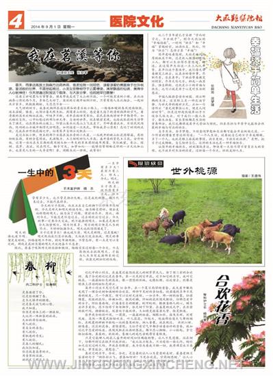 醫(yī)院文化版第4版